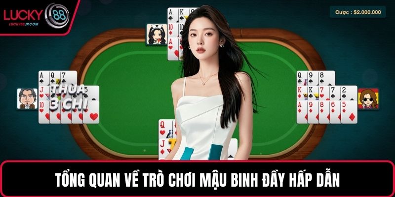 Tổng quan về trò chơi Mậu Binh đầy hấp dẫn