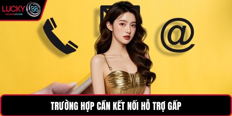 Trường hợp cần kết nối hỗ trợ gấp